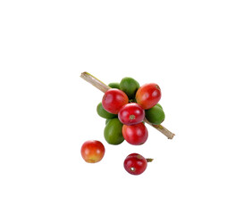 fresh coffee beans isolated on  transparent png