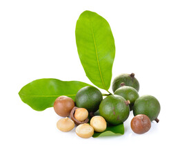 macadamia nuts on  transparent png