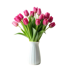 Tulips Bouquet in vase or pot isolated on white background © Htet Wai Phyo