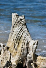 Fondos y texturas,basta mirar a nuestro alrededor y podemos encontrar imagenes que solo un ojo...