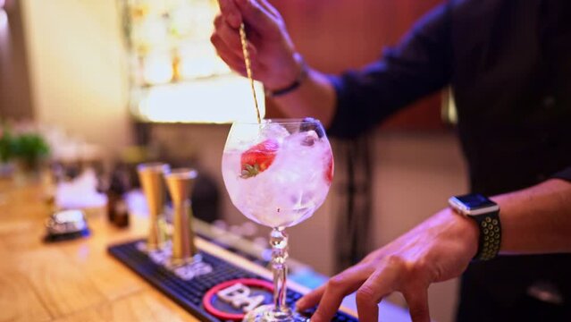 Gin tonic red fruits, bartender mixing a cocktail with ice cubes. slow motion.