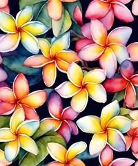 lots of loose Plumeria flowers - 1
