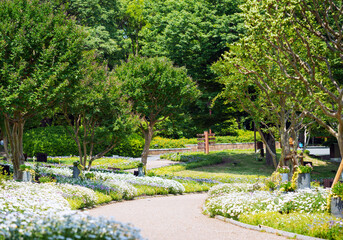 長居植物園の風景