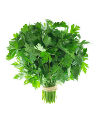 Parsley bunch Isolated without shadow on white. Parsley herb leaves. green sprig of parsley.