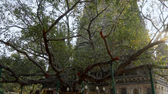 Bodh Gaya Temple, site of Buddha's enlightenment, Bihar, India