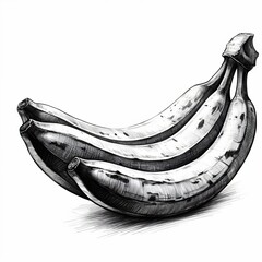 Black and White Sketch of a Bunch of Bananas
