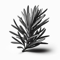 Fototapeta premium Isolated Sprig of Rosemary Herb Without Background