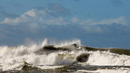 surfer riding a wave in distance on a sunny summer day