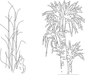 Obraz premium Artistic tree plant design drawing vector illustration sketch for completeness of the image