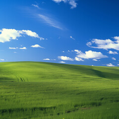 Fototapeta premium Windows XP style landscape photos
