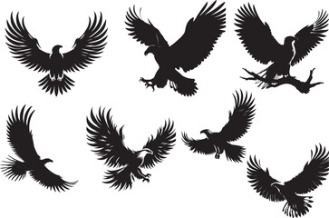 eagle  silhouette white background 