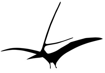 silhouette of a pterosaur on a white background