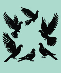 Obraz premium Flying Dove birds silhouettes, isolated bird flying 
