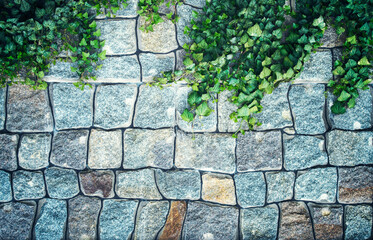 Garden plants on the wall. Stone texture. Old stonework. Garden wall. The streets of the old city are paved with stones.
