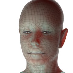 3d rendered illustration of a head