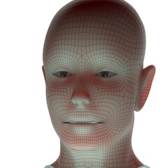 3d rendered illustration of a head