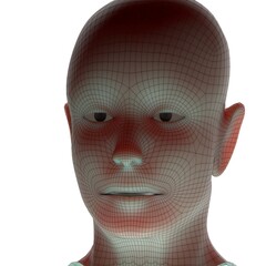 3d rendered illustration of a head