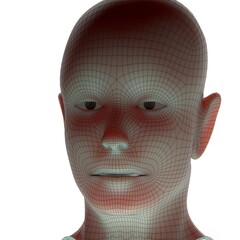 3d rendered illustration of a head