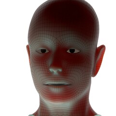 3d rendered illustration of a head