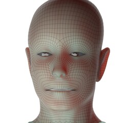 3d rendered illustration of a head