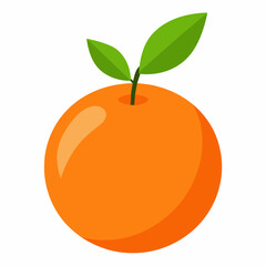 Fresh oranges vector illustration 