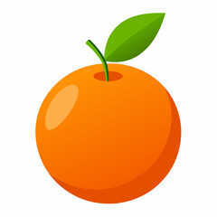 Fresh oranges vector illustration 