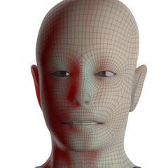 3d rendered illustration of a head