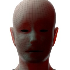 3d rendered illustration of a head