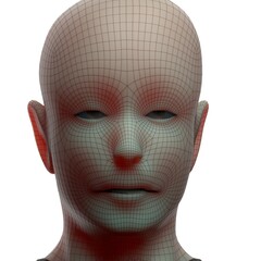 3d rendered illustration of a head
