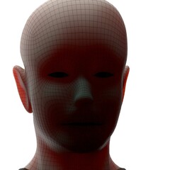 3d rendered illustration of a head