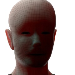 3d rendered illustration of a head