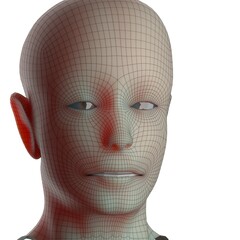 3d rendered illustration of a head