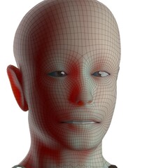 3d rendered illustration of a head