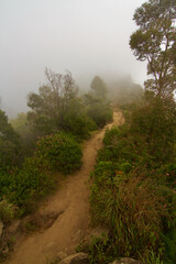 Obraz premium Walkway in the mountain top on a foggy morning