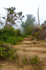 Walkway in the mountain top on a foggy morning