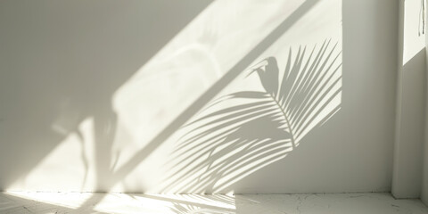 Minimalist Sunlit Palm Leaf Shadows on White Wall for Tranquil and Serene Decor