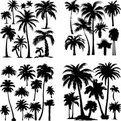 black tree silhouette set label protection silhouette graphic pine drawing trunk woodland shape illustration set wild cedar collection evergreen symbol black card needles spruce