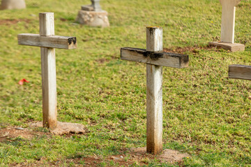 Serene Wooden Crosses in a Historic Cemetery