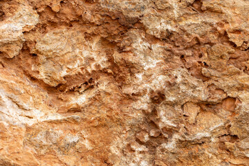 Vibrant Red Rock Surface Texture Background - Natural Geological Formation