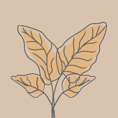 Line Drawing of a Leafy Plant