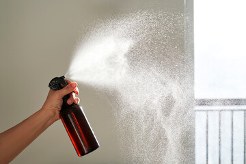 A woman's hand sprays an air freshener in a room.