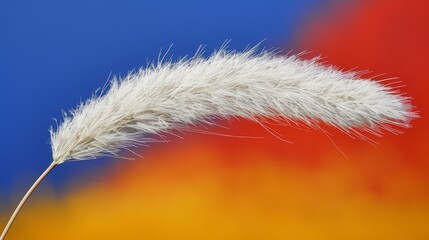  A close-up of a white feather against a red and yellow foreground, with a blue sky as the background