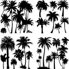 black tree silhouette set label protection silhouette graphic pine drawing trunk woodland shape illustration set wild cedar collection evergreen symbol black card needles spruce