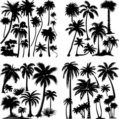 Fototapeta premium black tree silhouette set tropics hawaii graphic paradise outline contour jungle africa climate clip art monochrome single figure growth stem border group oak print rainforest gardening