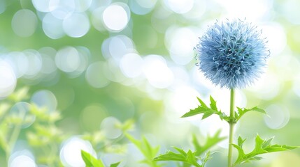 A blue flower sits atop a lush green field of leafy plants, surrounded by a backdrop of blue and white blooming flowers and gentle light