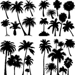 black tree silhouette set pure badge eco outline recreation breath emblem label protection graphic pine trunk woodland