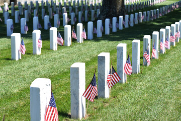 Rows of grave stones in a National cemetery decorated with American flags for Memorial Day