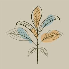 Line Drawing of a Leafy Plant