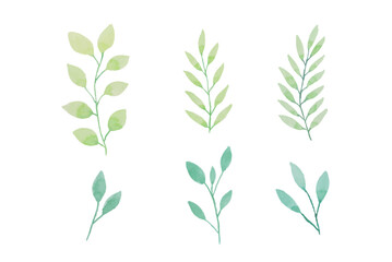 Assortment of watercolor leaves illustration set - green leaf branches collection for wedding, greetings, stationary, wallpapers, fashion, background. olive, green leaves, Eucalyptus etc