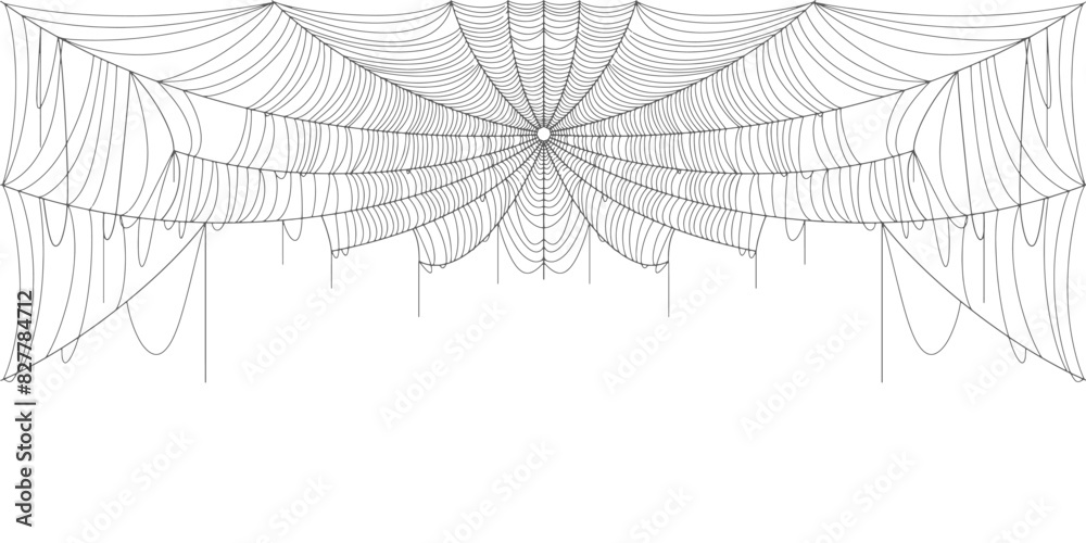 Canvas Prints spider web vector illustration